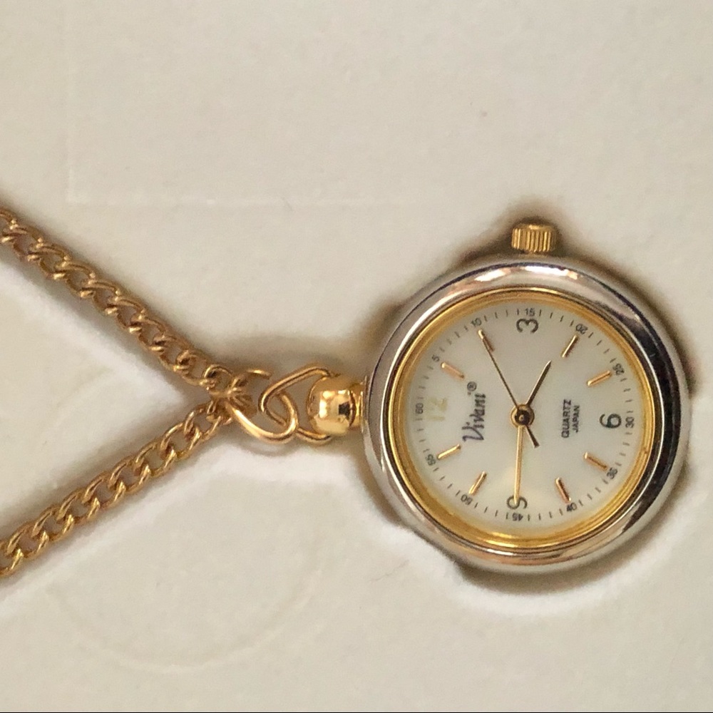 Interchangeable watch